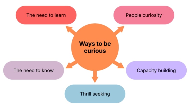 2. Curiosity and Speculation: