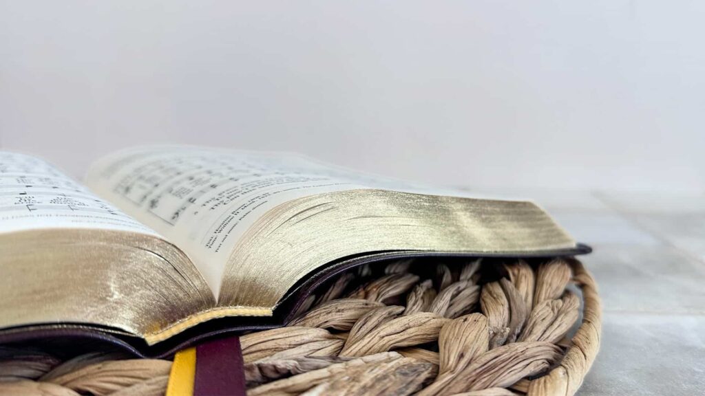 Guide to Divine Support, Love & Life Path: