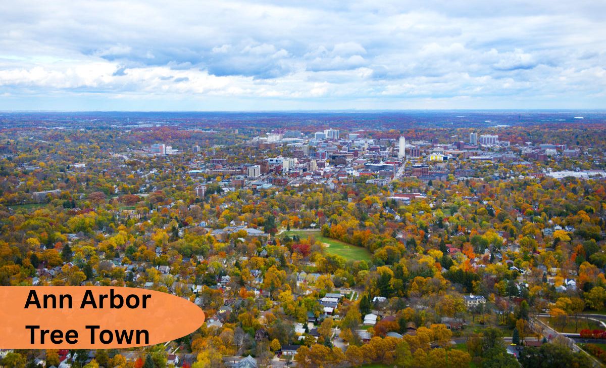 Ann Arbor Tree Town