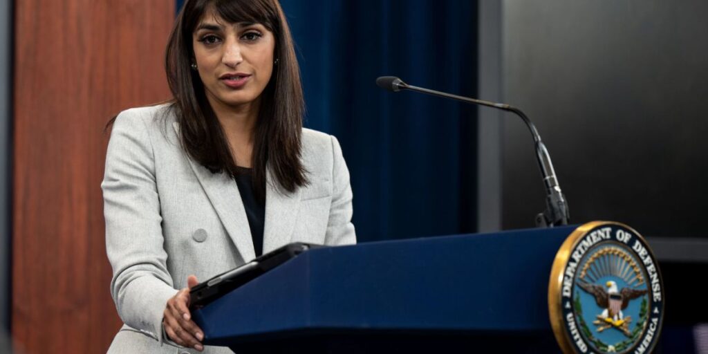 Roles and Responsibilities - What Does Sabrina Singh Do at the Department of Defense?